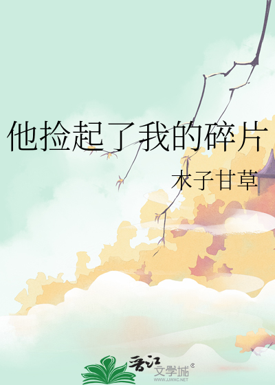 他捡起了我的碎片