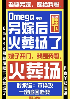 O另嫁后陛下火葬场了